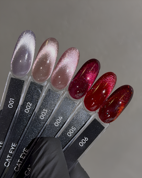 Dark gel polish Cat Eye 04, 10 ml - Зображення 2